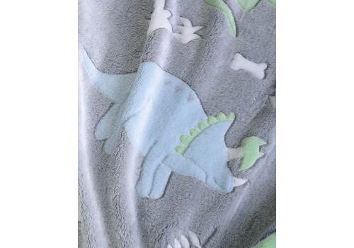 DINOLAND – ΚΟΥΒΕΡΤΟΠΑΠΛΩΜΑ ΠΑΙΔΙΚΟ LUMINUS (flannel fleece) DINOLAND – ΚΟΥΒΕΡΤΟΠΑΠΛΩΜΑ ΠΑΙΔΙΚΟ LUMINUS (flannel fleece)