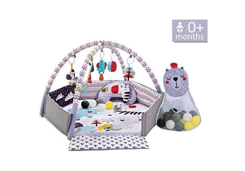 Βρεφικό γυμναστήριο δραστηριοτήτων Bebe Stars zebra