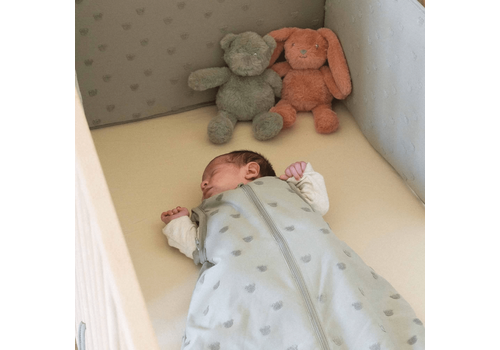 Υπνόσακος TOG 2.5 με Αφαιρούμενα Μανίκια 0-6 Μηνών Μέντα – HONEY & HOP – Trois Kilos Sept