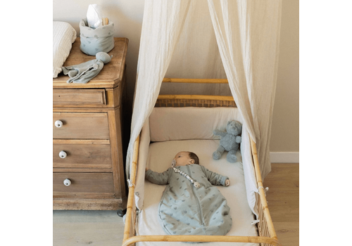 Υπνόσακος TOG 2.5 με Αφαιρούμενα Μανίκια 0-6 Μηνών Μέντα – HONEY & HOP – Trois Kilos Sept