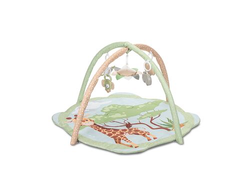 ΓΥΜΝΑΣΤΗΡΙΟ "SAFARI FRIENDS"  GREEN LORELLI
