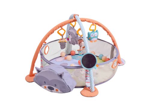 ΓΥΜΝΑΣΤΗΡΙΟ-ΠΑΡΚΟ ΔΡΑΣΤΗΡΙΟΤΗΤΩΝ SQUIRREL BEBE STARS