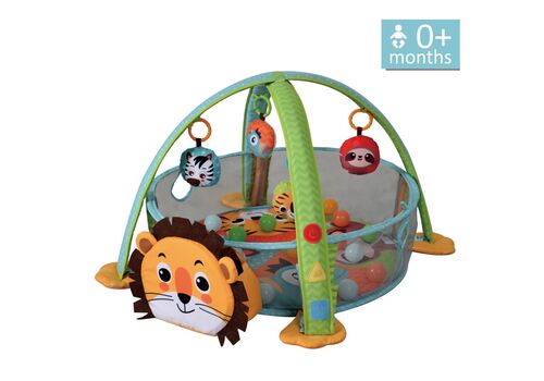 ΓΥΜΝΑΣΤΗΡΙΟ-ΠΑΡΚΟ ΔΡΑΣΤΗΡΙΟΤΗΤΩΝ LION BEBE STARS