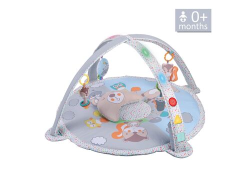 ΓΥΜΝΑΣΤΗΡΙΟ BEAR BEBE STARS