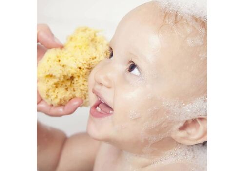 Ελληνικό Φυσικό Σφουγγάρι Pùpulo