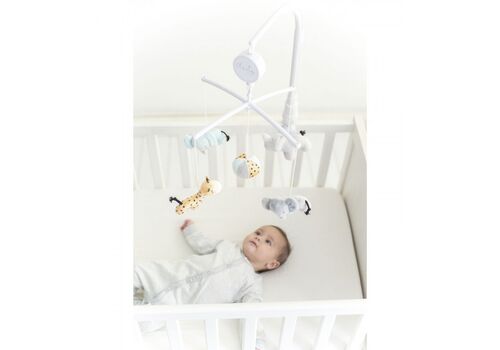 ΜΟΥΣΙΚΟ ΠΕΡΙΣΤΡΕΦΟΜΕΝΟ ΚΡΕΒΑΤΙΟΥ FOREST